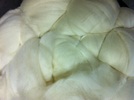 Merino Wool for Felting
